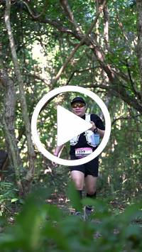 BIB:  <button type="button" onclick="openModal(28078600)" class="btn btn-primary btn-sm float-right" data-toggle="modal" data-target=".modal-high-quality">
                <i class="fa fa-download"></i> Download
                </button>